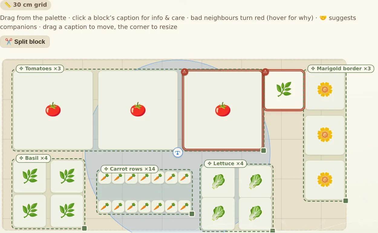 A raised bed where a tomato and fennel are outlined in red as bad companions, with a sprinkler coverage circle