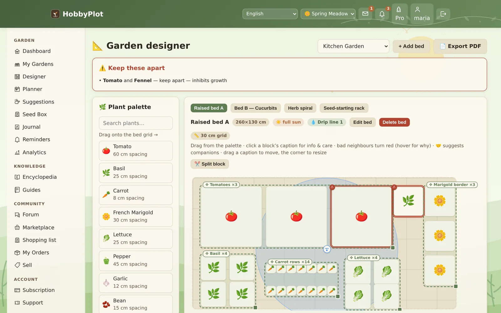The HobbyPlot garden designer showing a raised bed with tomatoes, basil, carrots, lettuce and a marigold border